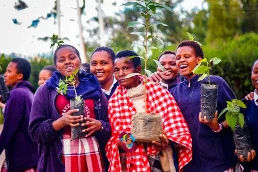 Trees for Girls