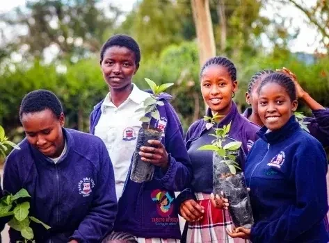 Trees for Girls