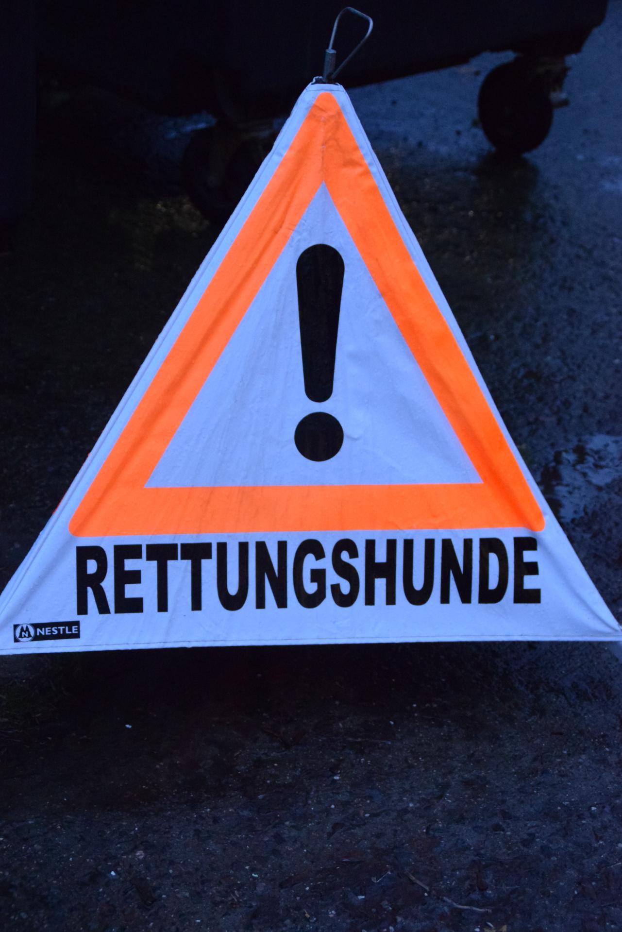 Hunde Hunde