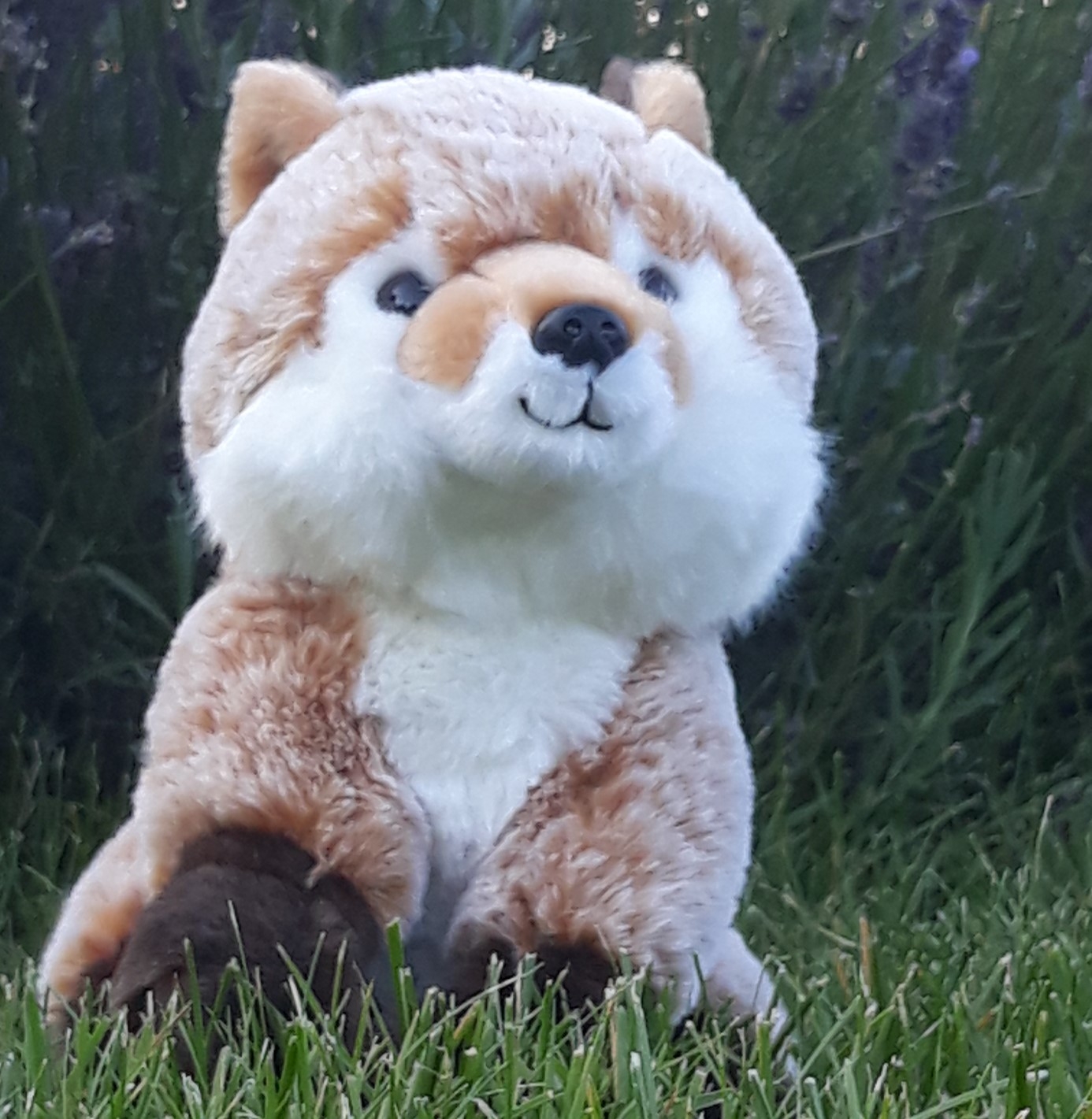 Fuchs