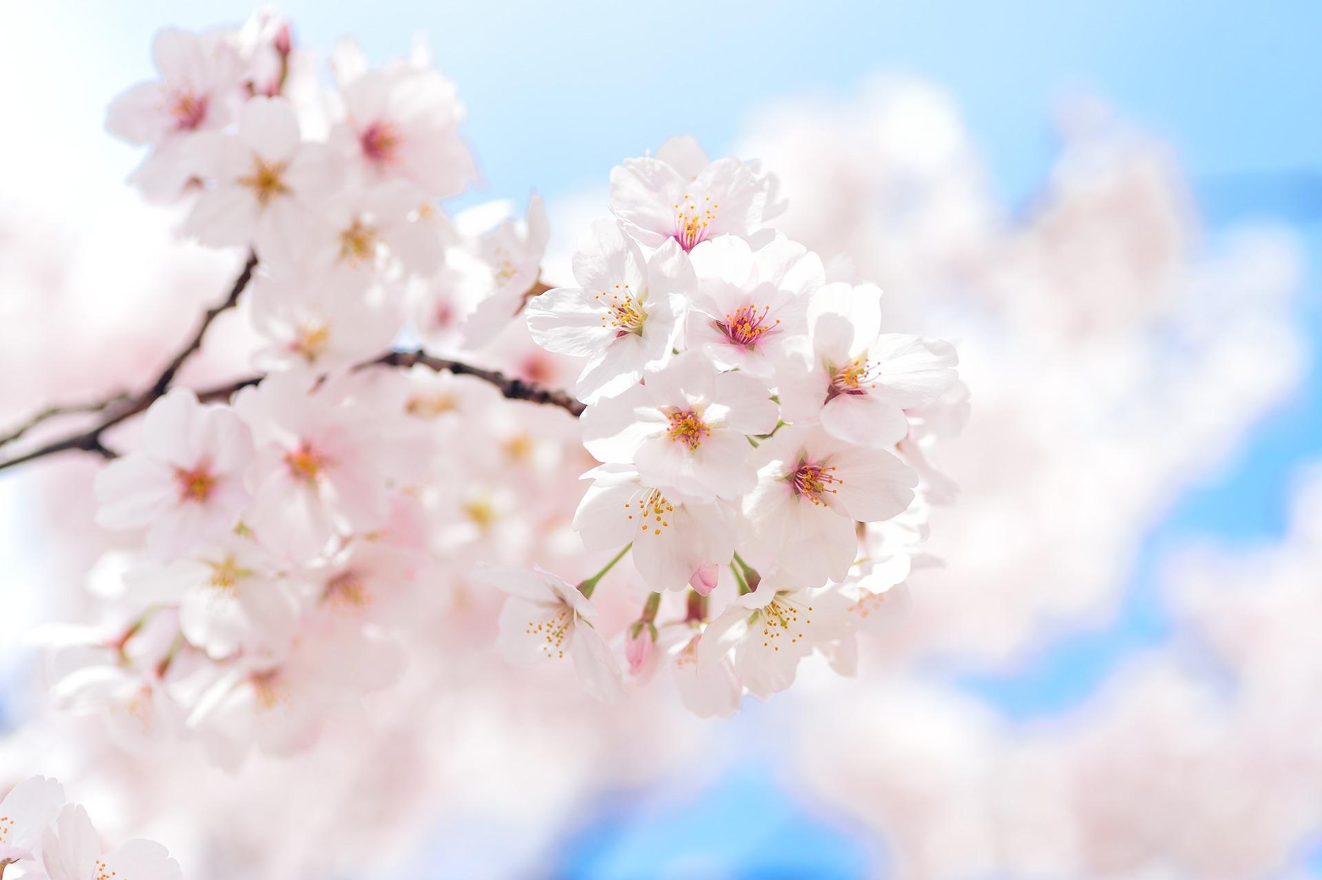 Frühling