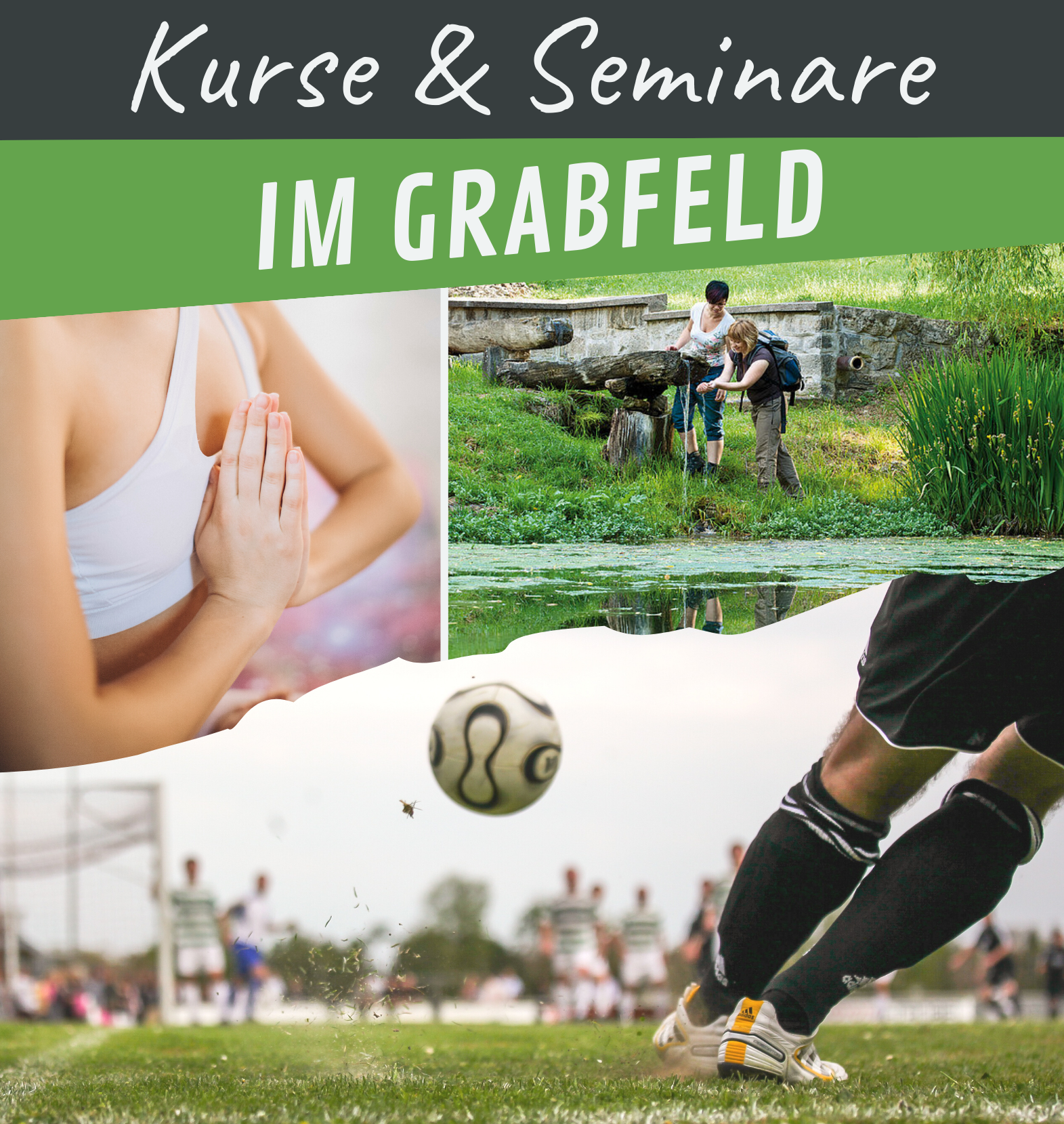 Kurse & Seminare