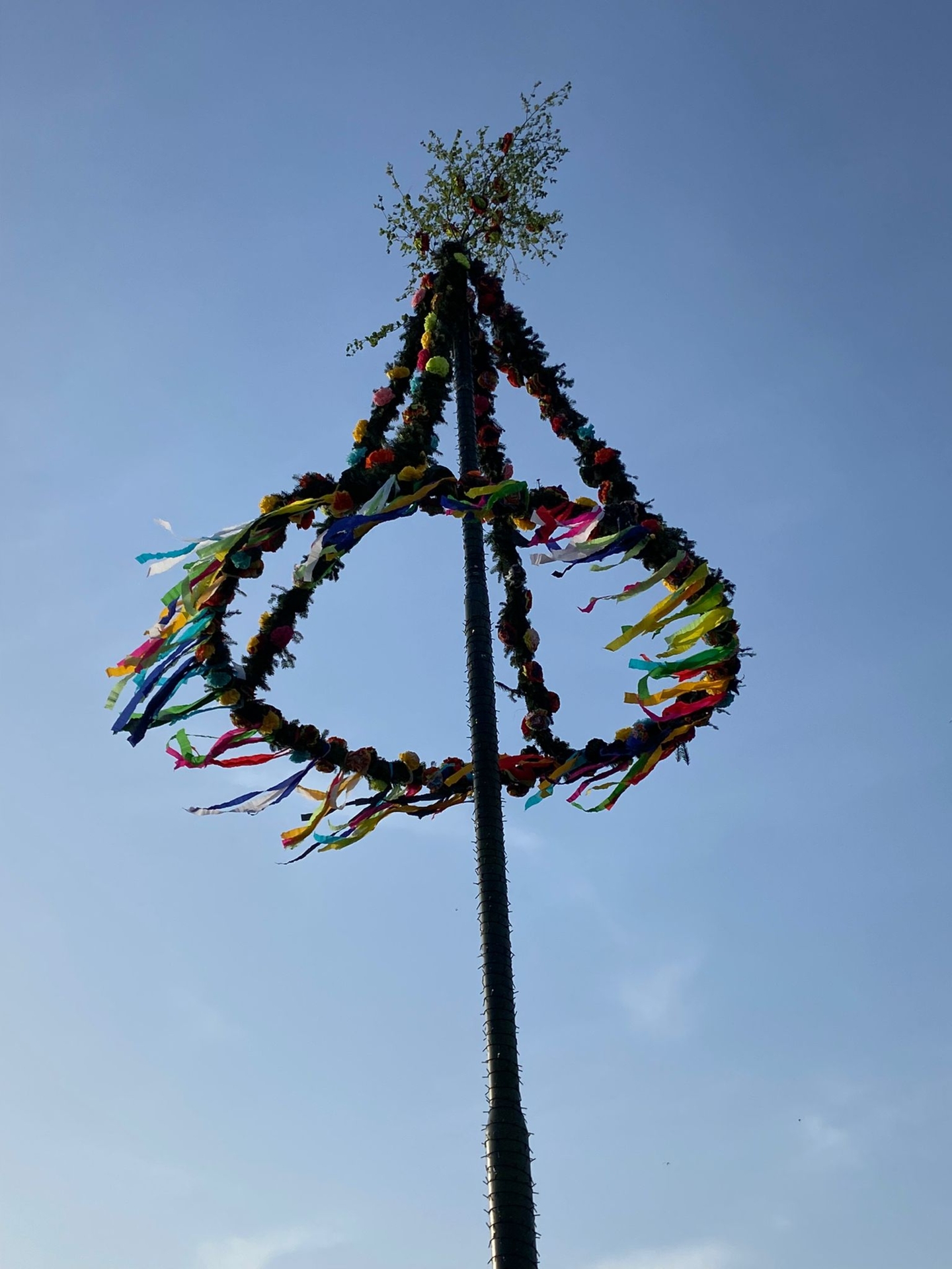 Maibaum