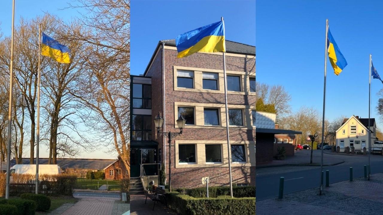 Ukraine-Flaggen