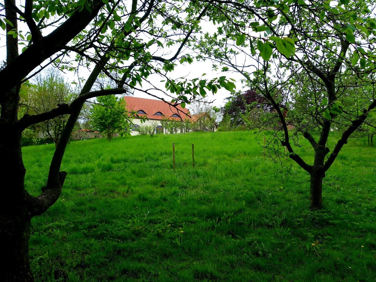 Sornzig 1