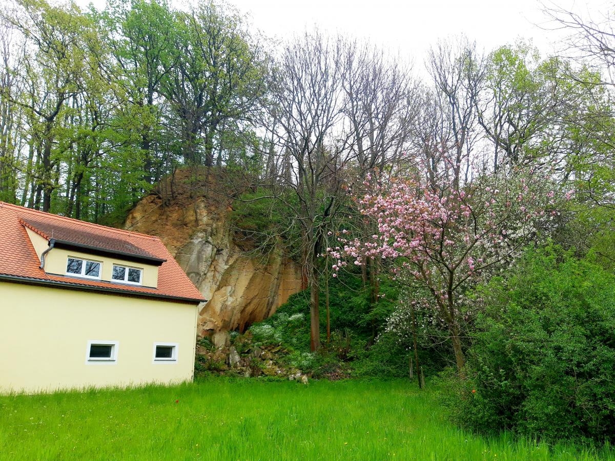 Sornzig 2