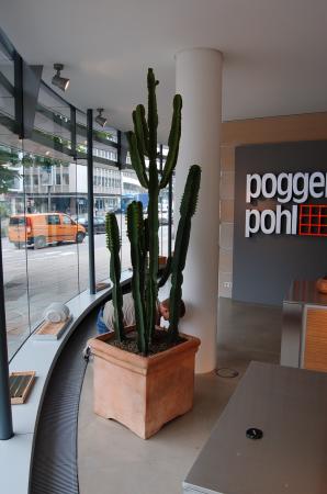 Poggenpohl