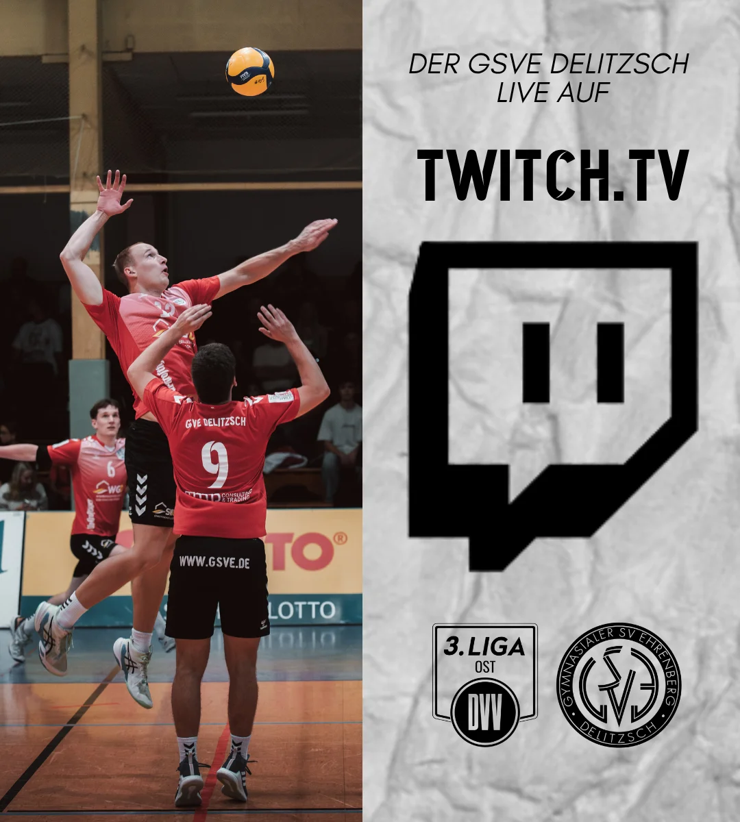 Twitch Template
