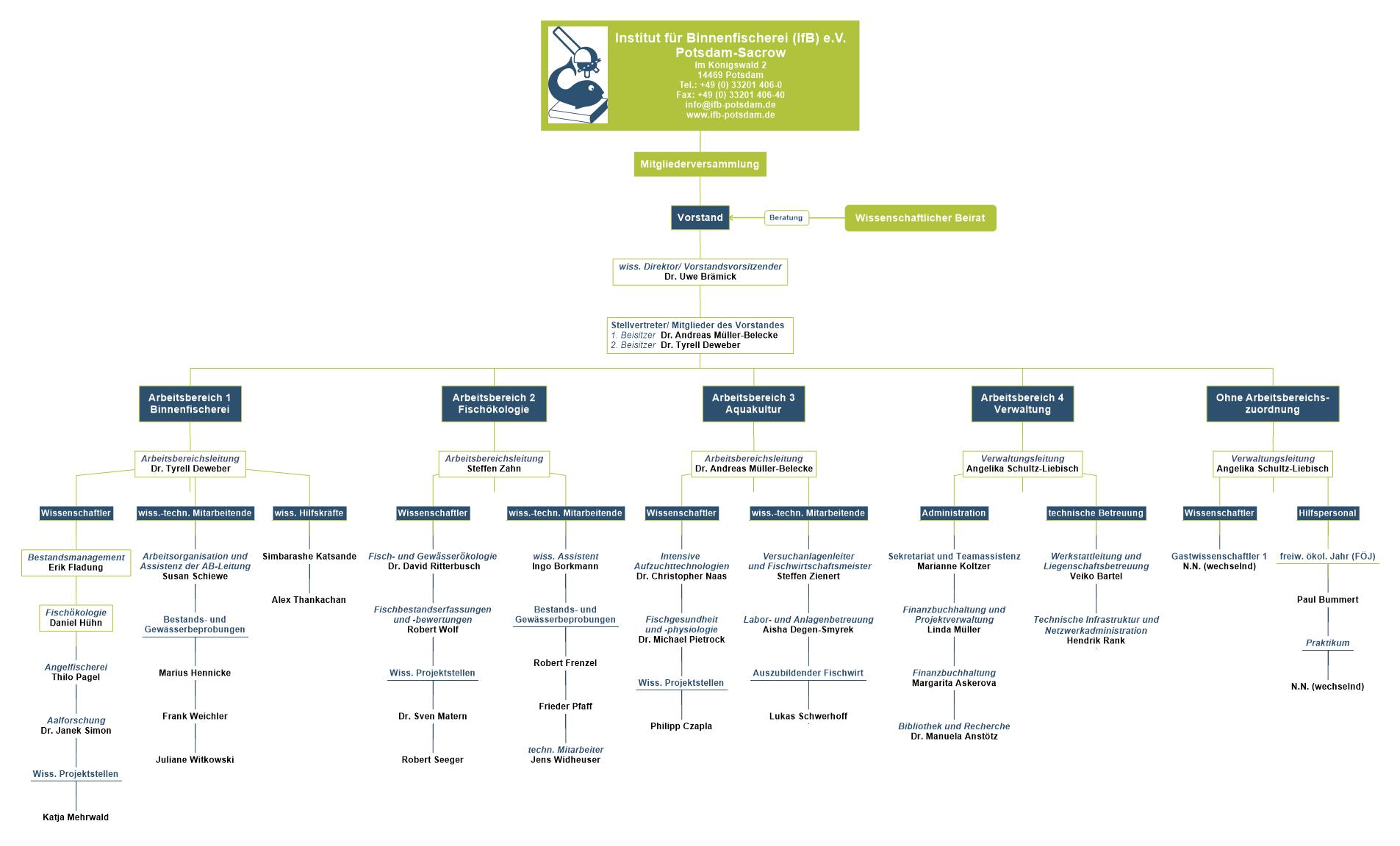 Organigramm Institut für Binnenfischerei e.V. Stand April 2025