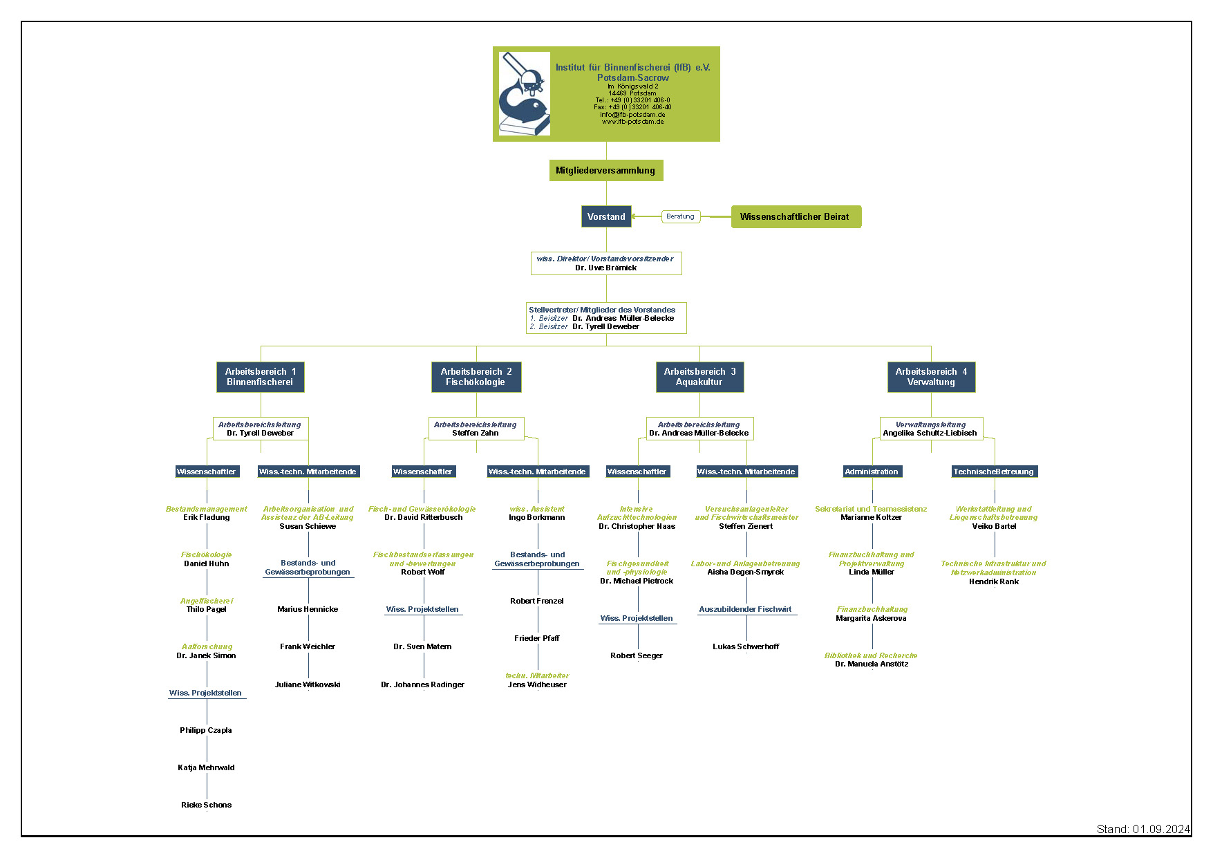 Organigramm Institut für Binnenfischerei e.V. Stand Okt. 2024