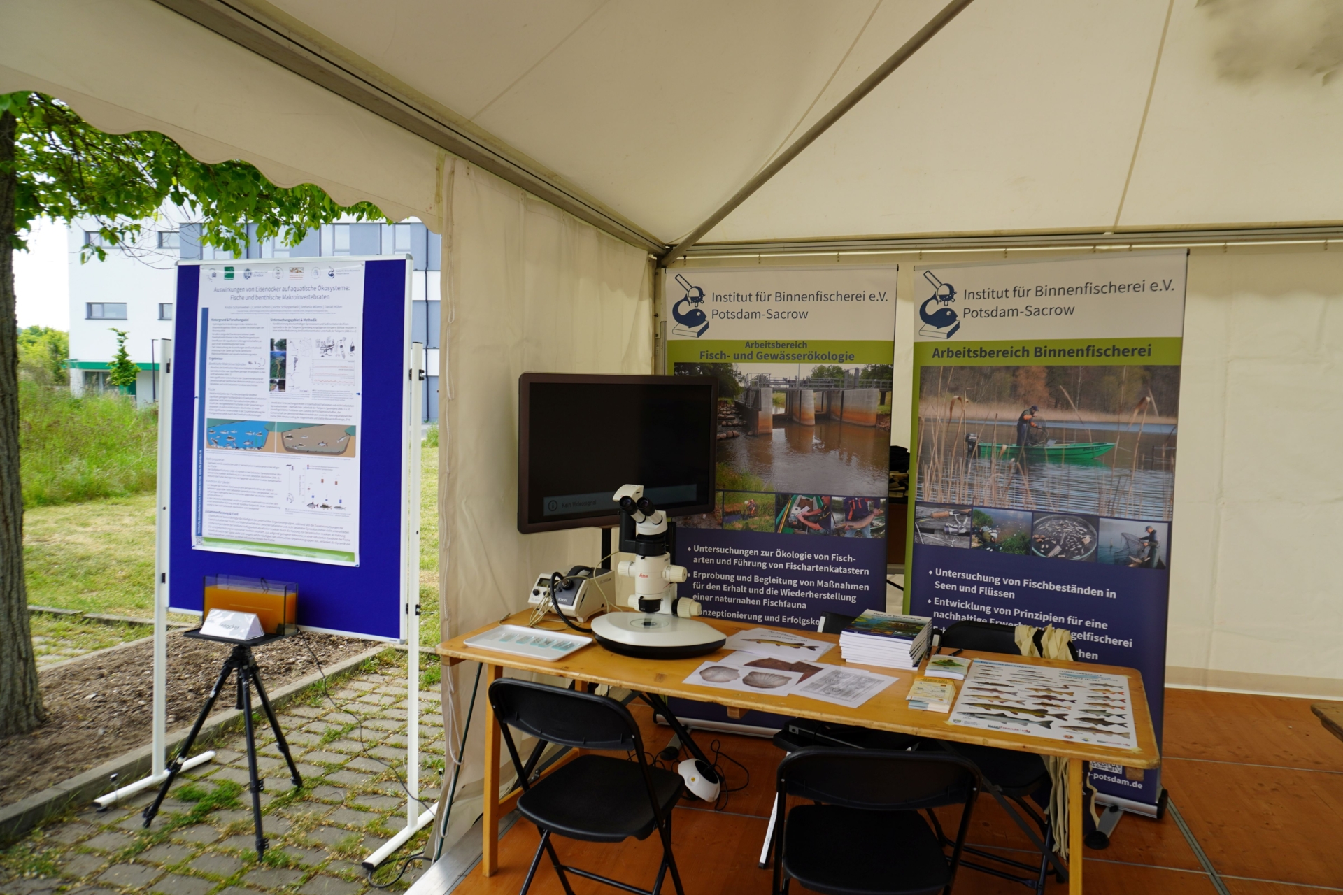 Der IfB-Stand beim PTDW 2025