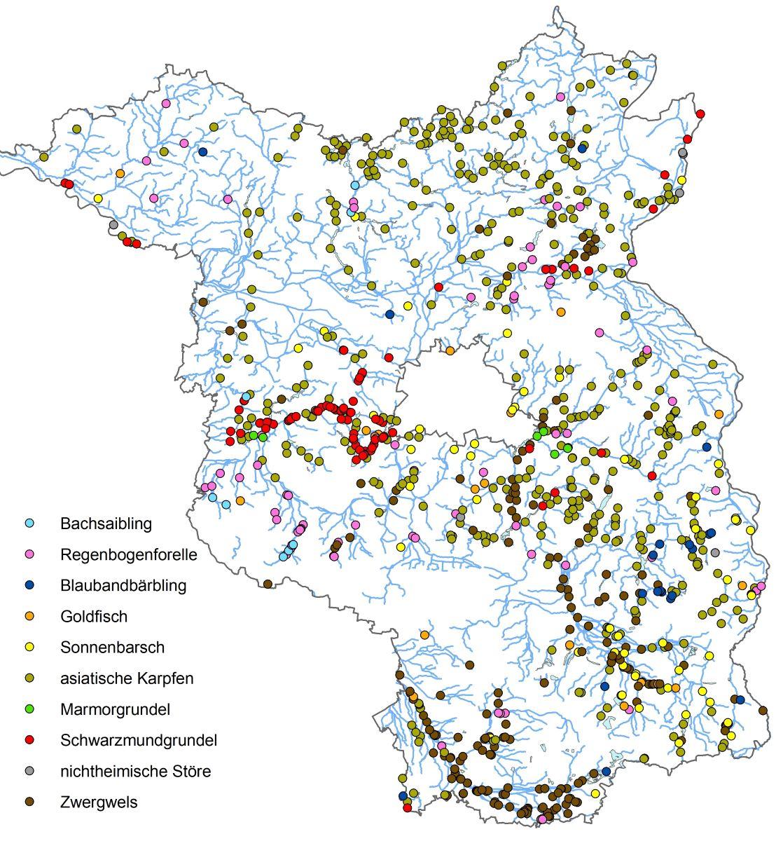 Distribution of non-native fish-species in the state of Brandenburg