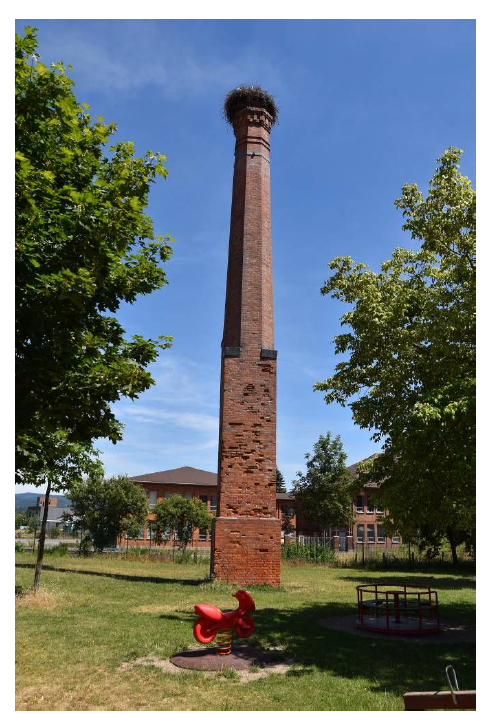 Turm