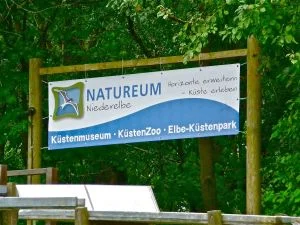 natureum_schild_manuela_fleischer-3455f01c