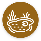 icon-teich