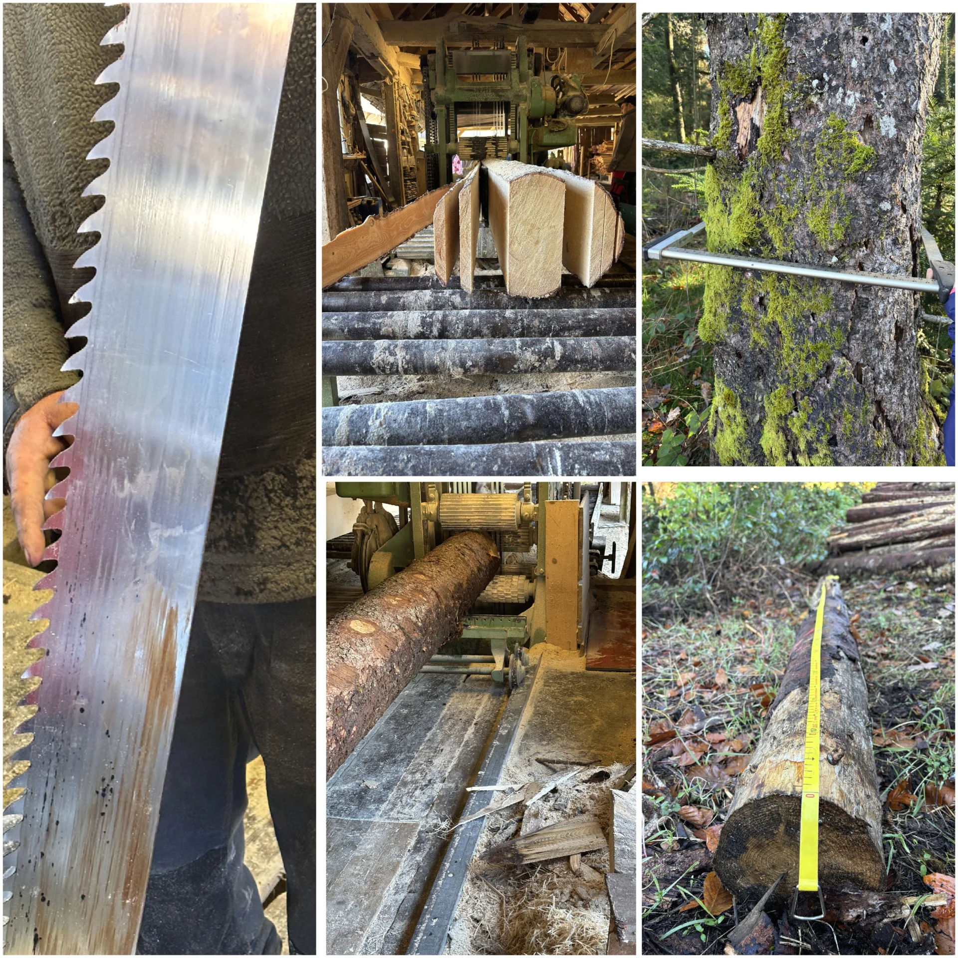 Sägewerk Tag2