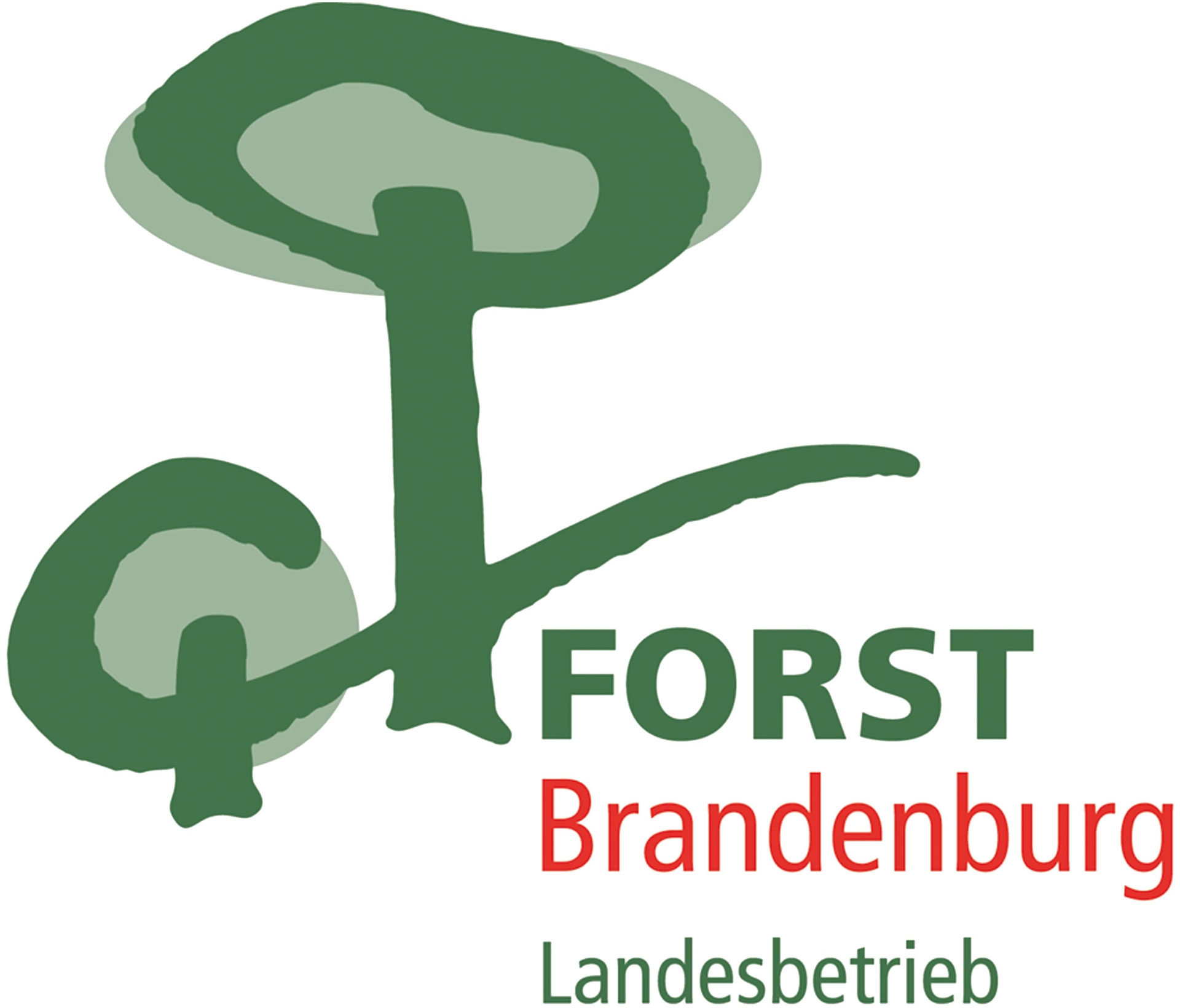 Logo Forst Brandenburg