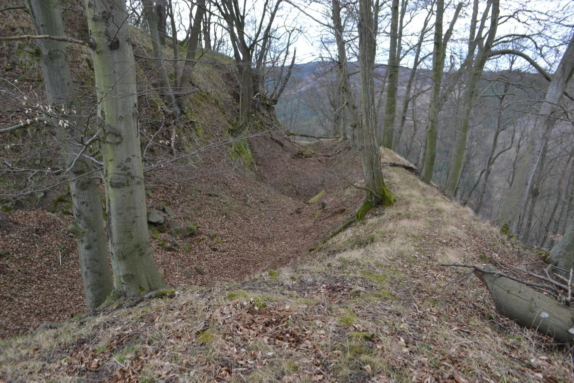Burggraben, Nordseite des Alten Falkenstein mit Burggraben ©U. Münnich