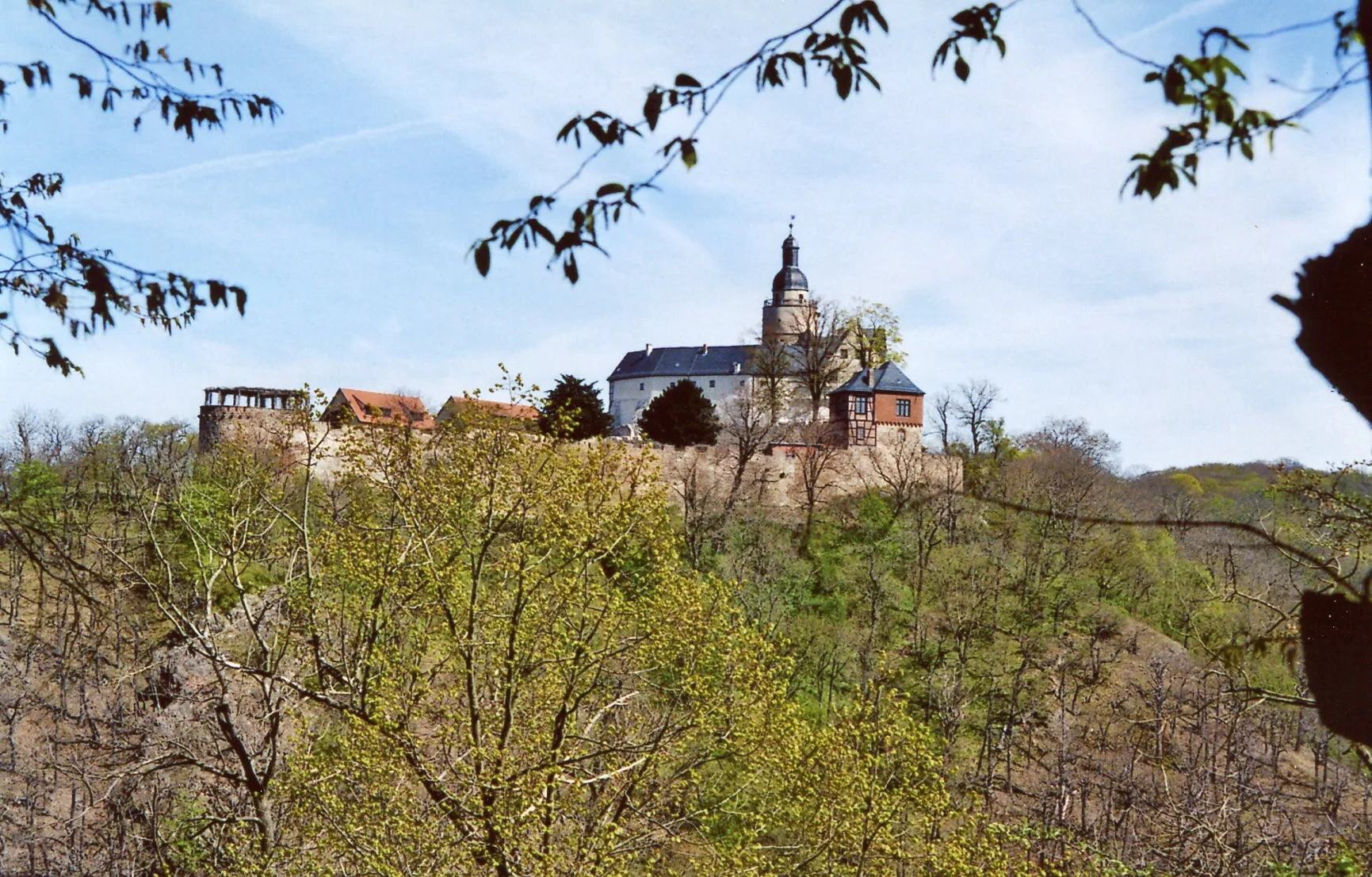 Burg Falkenstein: Sicht von Westen (Bartenberg) © U. Münnich