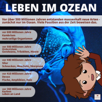 Leben im Ozean