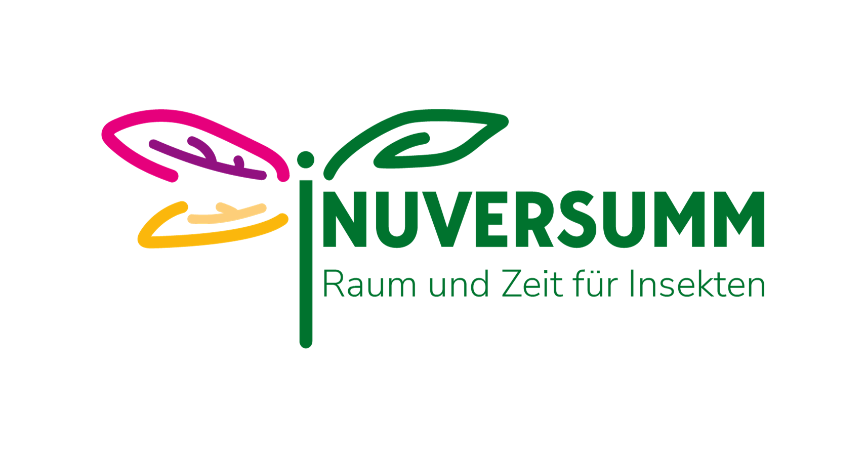 iNUVERSUMM-Logo
