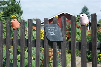 gemeinde-klingenberg-verpachtung-Parzelle.2