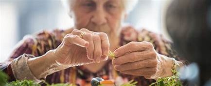 Projekt - Gemeinsam Kochen