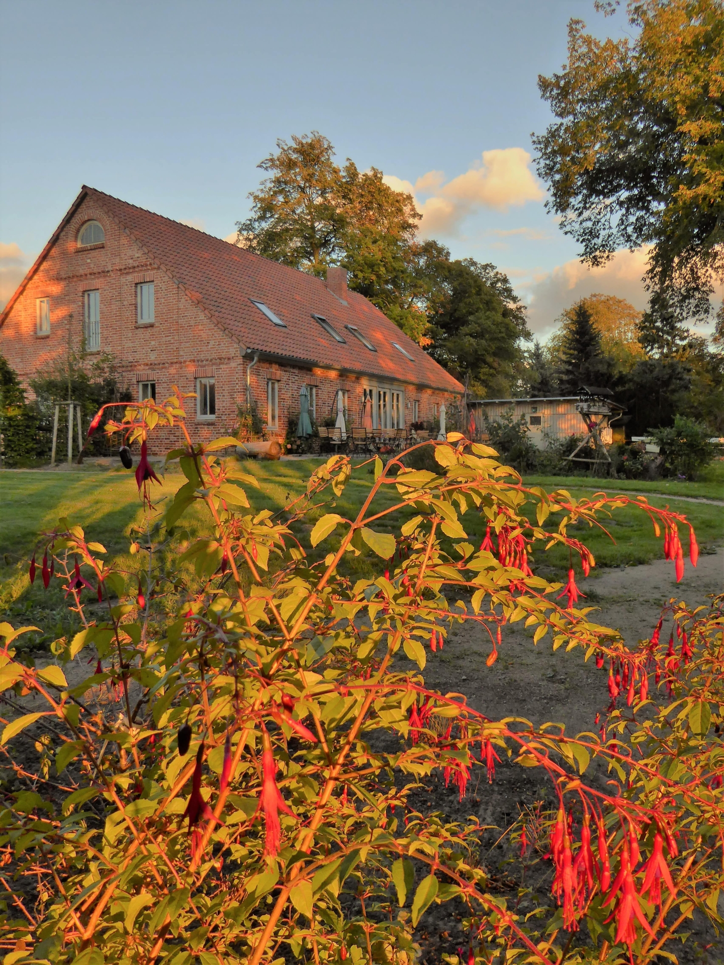 Das Bild zeigt ein ländliches Anwesen bei Sonnenuntergang. Im Vordergrund steht ein Fuchsienstrauch mit vielen roten Blüten, die im Abendlicht leuchten. Im Hintergrund steht ein großes, rotes Backsteingebäude, vermutlich ein Bauernhaus oder ein umgebautes Gehöft, mit einem gepflegten Garten. Neben dem Haupthaus ist ein kleineres Nebengebäude zu sehen. Bäume und ein leicht bewölkter Himmel runden die ländliche Idylle ab.