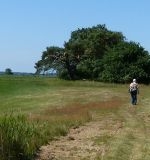 frontbild-wandern-am-saaler-bodden-f456c8a9