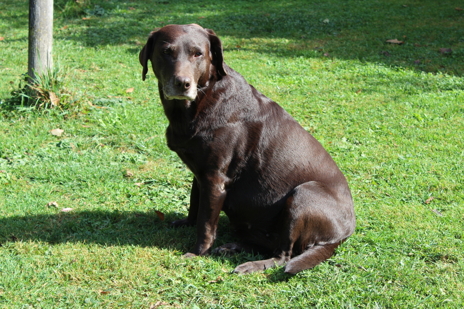 Bild 3 Molly
