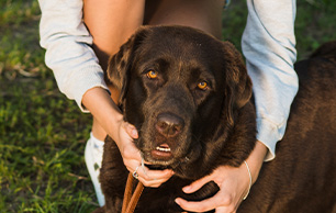 portrait-smiling-young-woman-with-her-dog-park