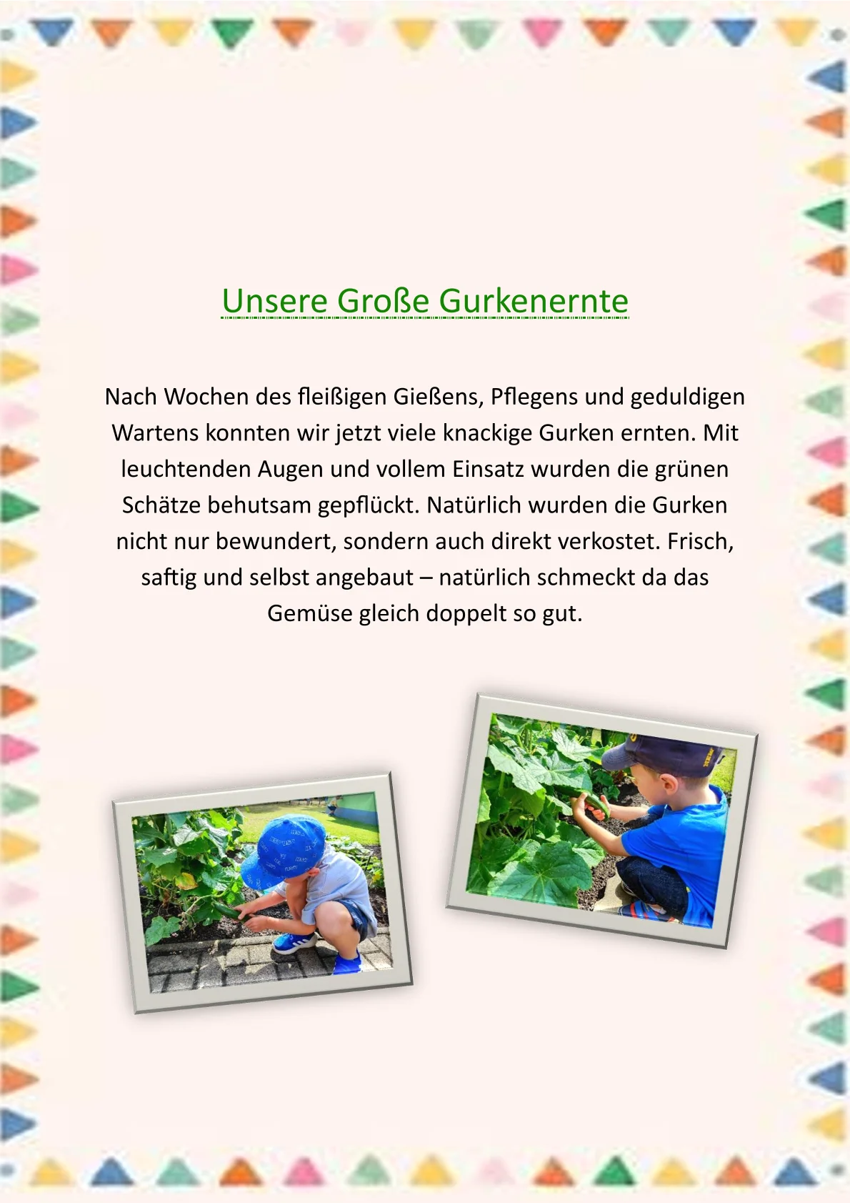 Gurkenernte