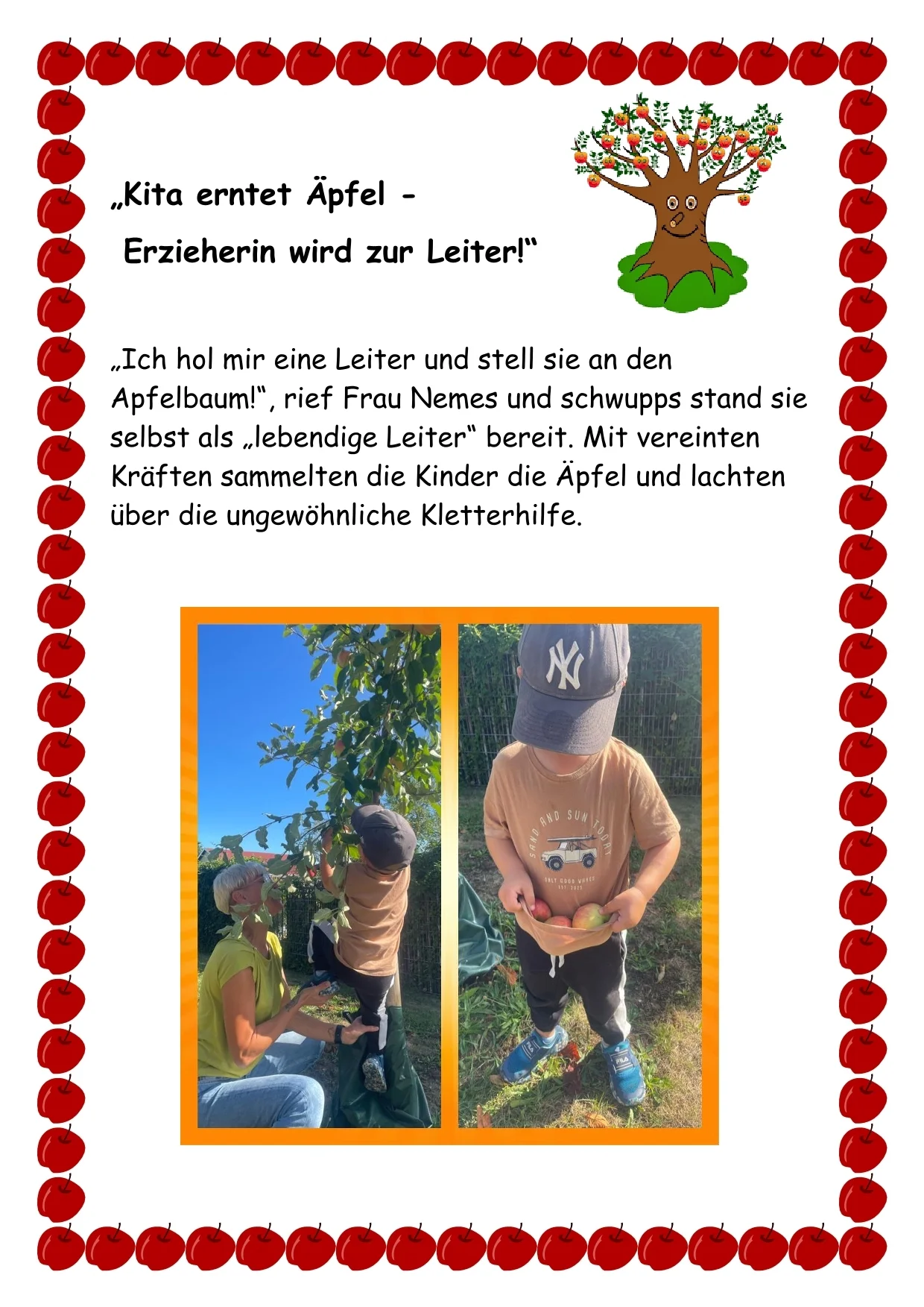 Kita erntet Äpfel -1