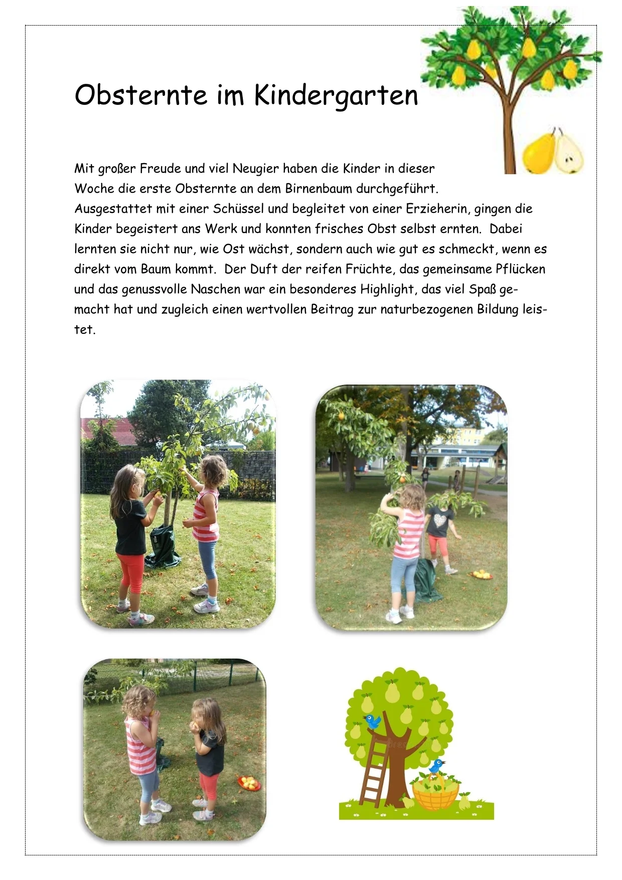 Obsternte im Kindergarten-1