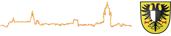 logo-foerderverein-freiwillige-feuerwehr-friedberg-e-v