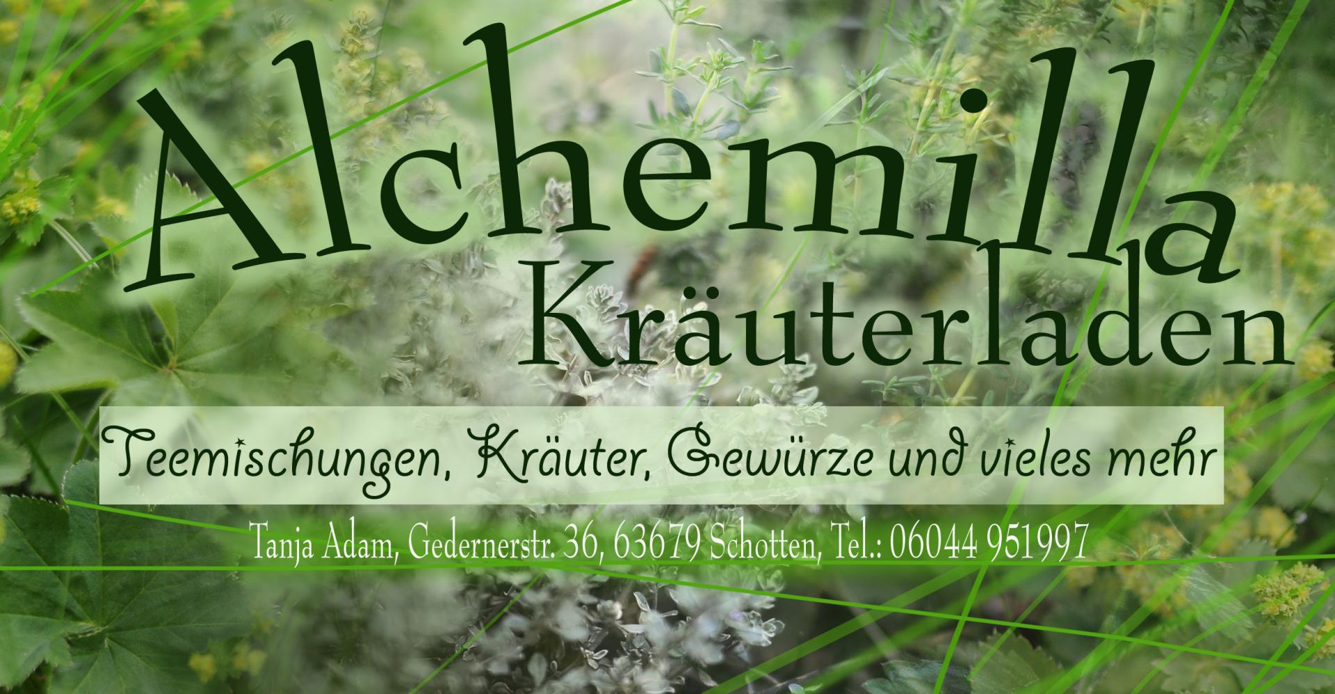 Alchemilla