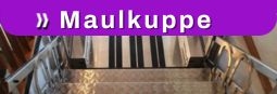 Hier gelangen Sie zu der Rollstuhllift-Treppe Maulkuppe von Aufzug LuS aus Schweinfurt in Bayern