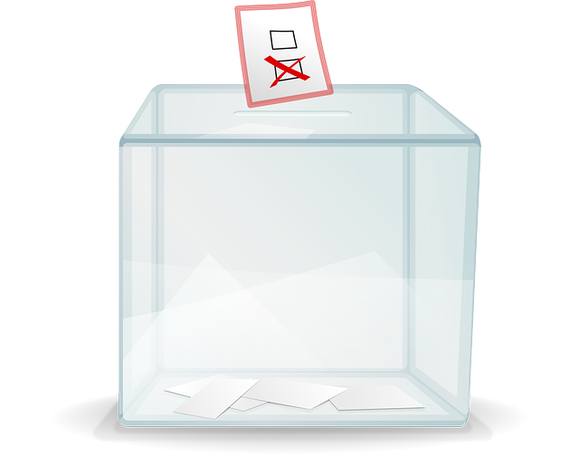 ballot-box-32384_640