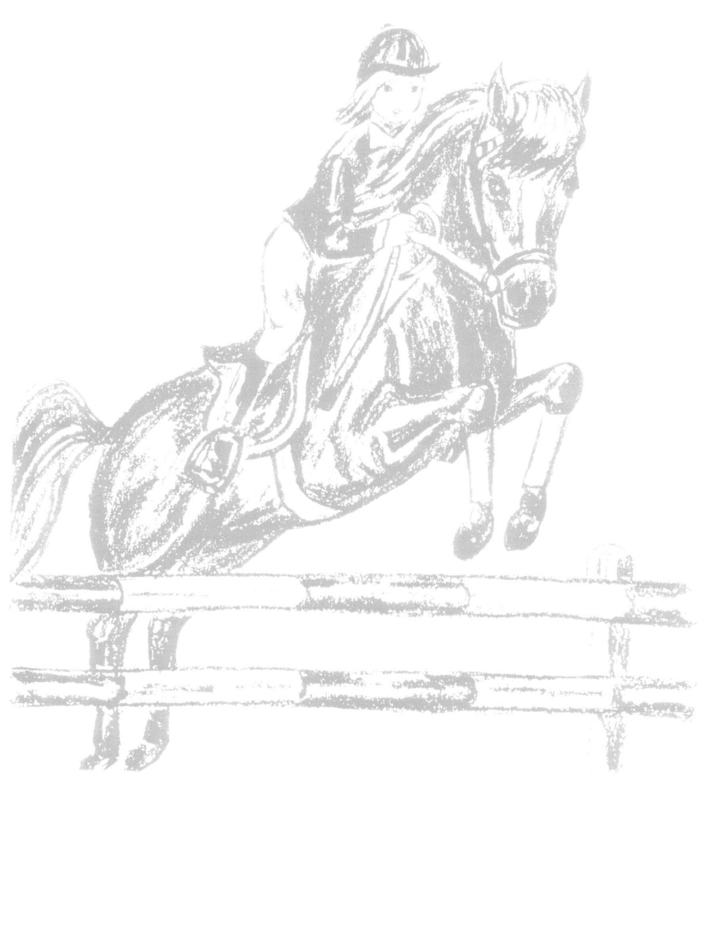 Pony-, Jugend-, Reit- und Fahrverein Knesebeck