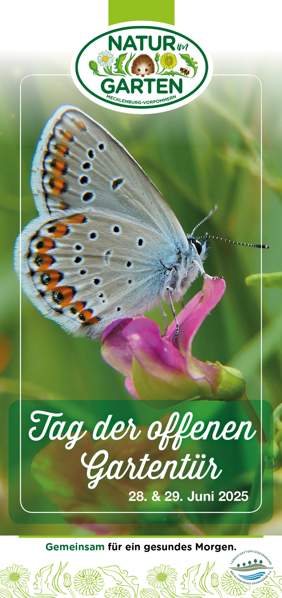 NiG-MV_TdoGt-Besucherbroschüre-2025_cover