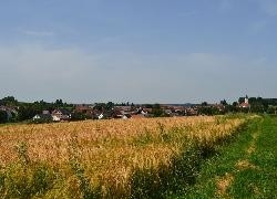 Altheim Feld