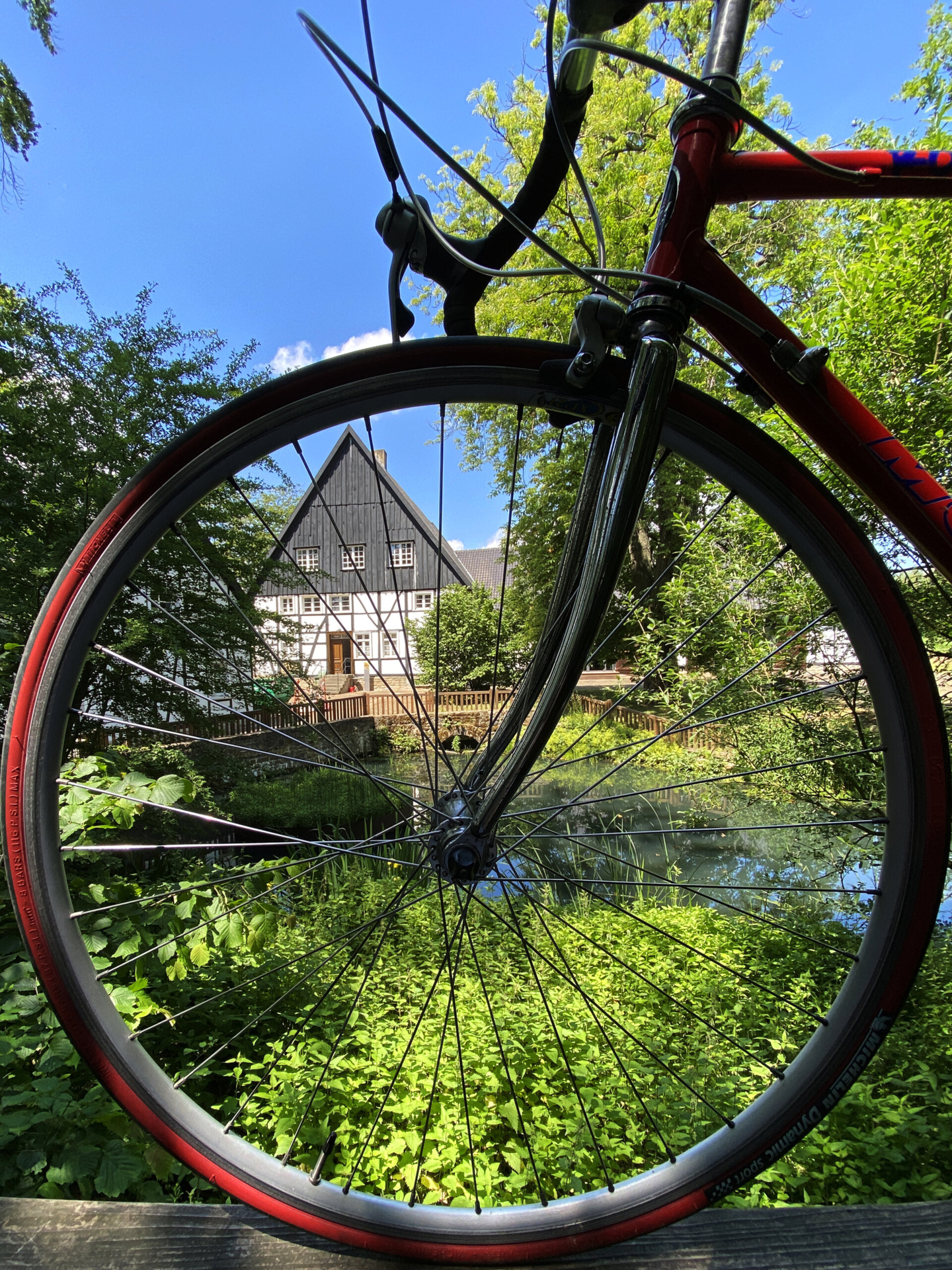Fahrrad im Grünen