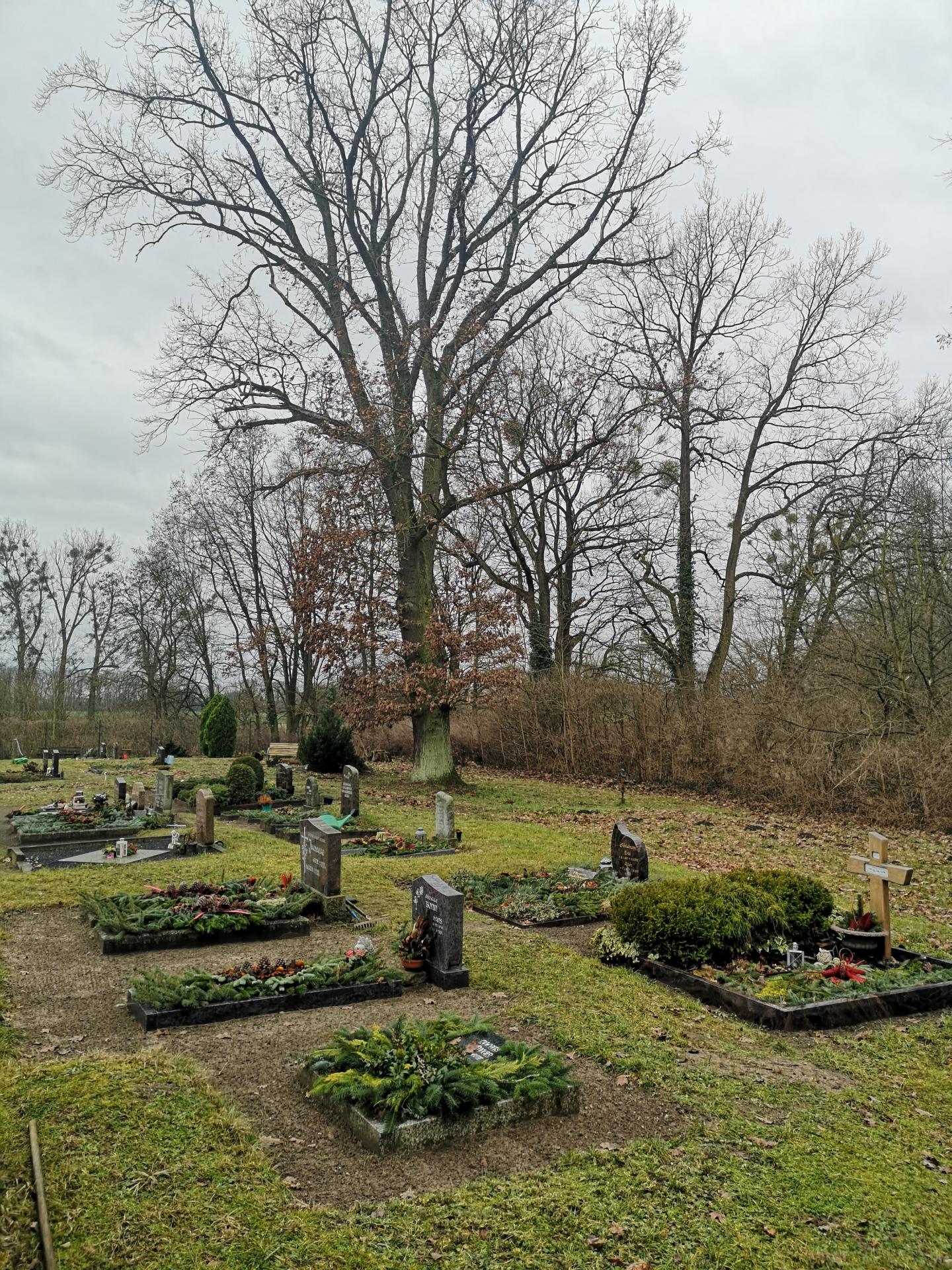 Friedhof Garzau