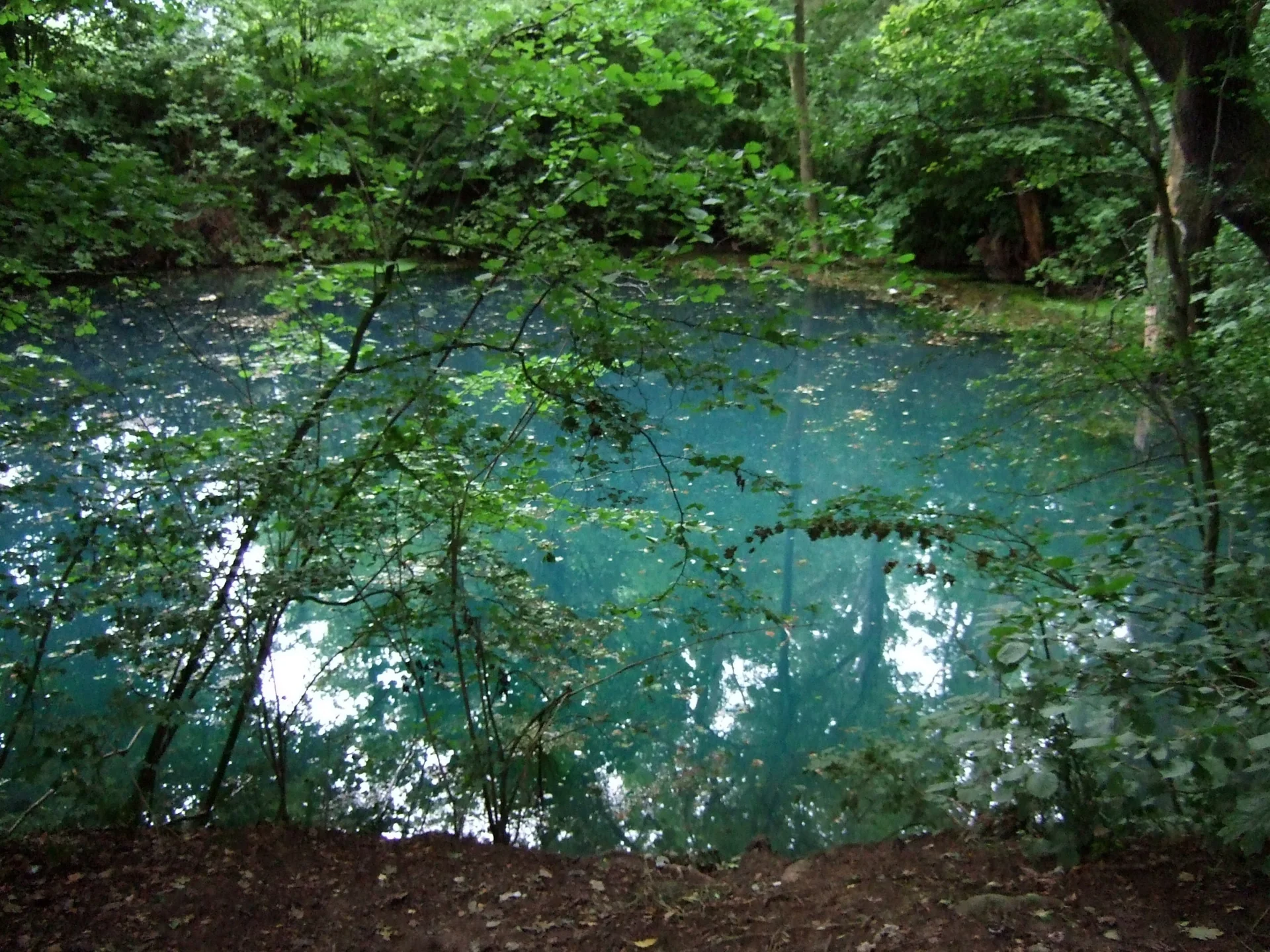Kainspring1 (wikipedia)