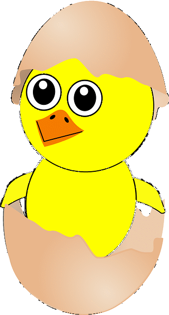 Küken