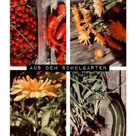 Schulgarten-Collage-Juni-22-280x280