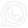 icon-whatsapp