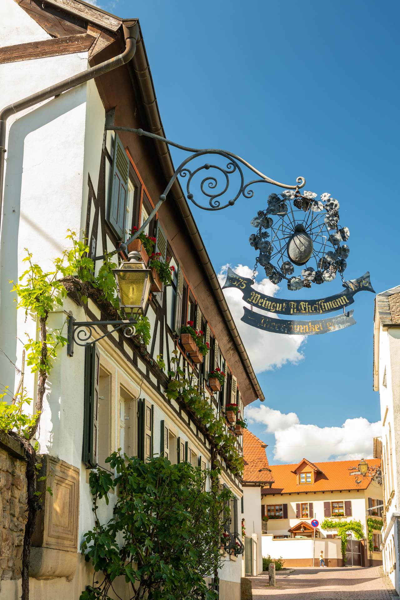 Traditionelles Weingut in Neustadt an der Weinstraße