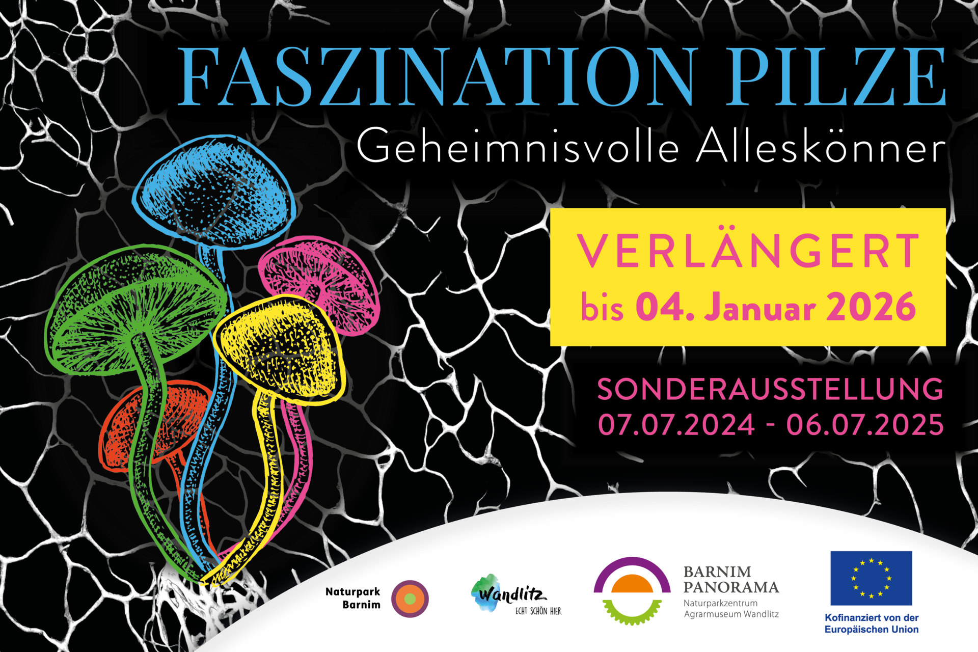FASZINATION PILZE - Geheimnisvolle Alleskönner