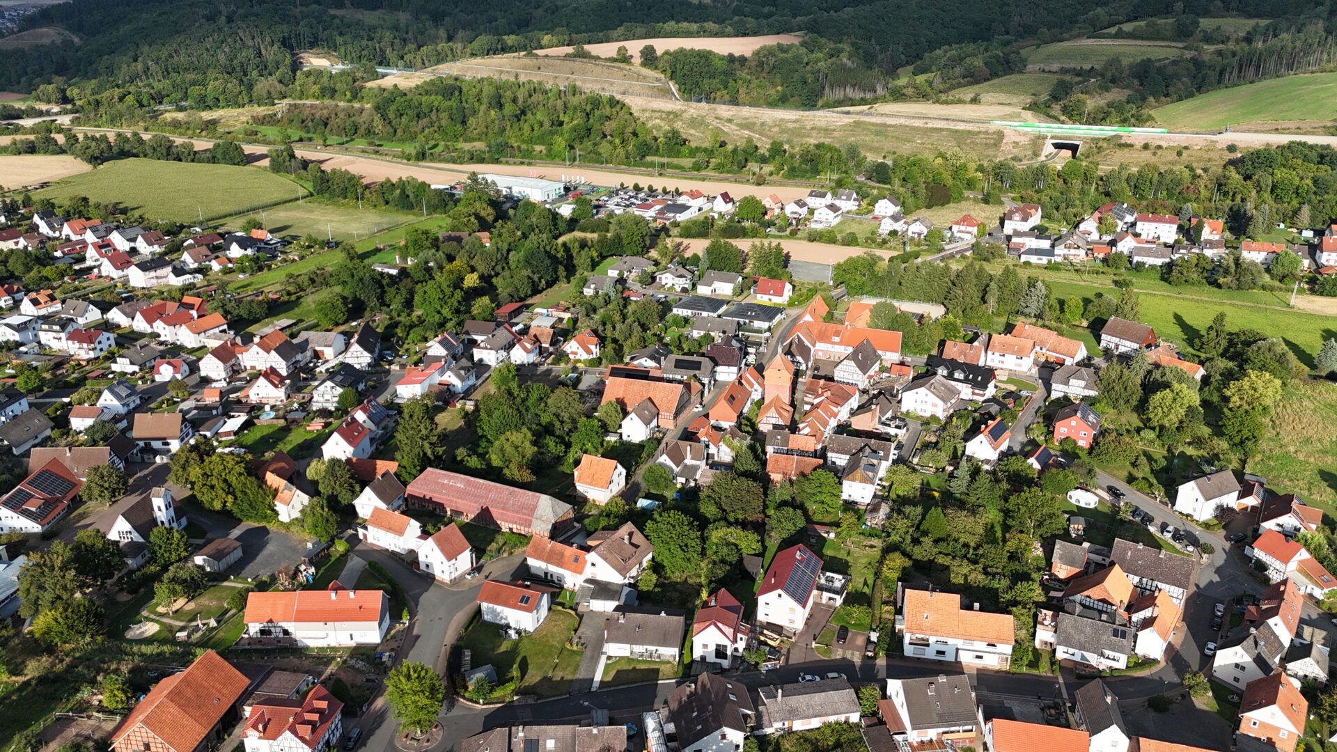 Hoheneiche